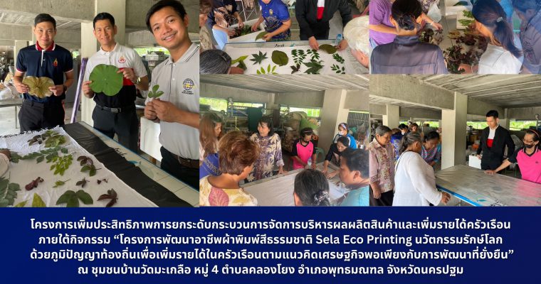 โครงการเพิ่มประสิทธิภาพการยกระดับกระบวนการจัดการบริหารผลผลิตสินค้าและเพิ่มรายได้ครัวเรือน ภายใต้กิจกรรม “โครงการพัฒนาอาชีพผ้าพิมพ์สีธรรมชาติ Sela Eco Printing นวัตกรรมรักษ์โลก ด้วยภูมิปัญญาท้องถิ่นเพื่อเพิ่มรายได้ในครัวเรือนตามแนวคิดเศรษฐกิจพอเพียง